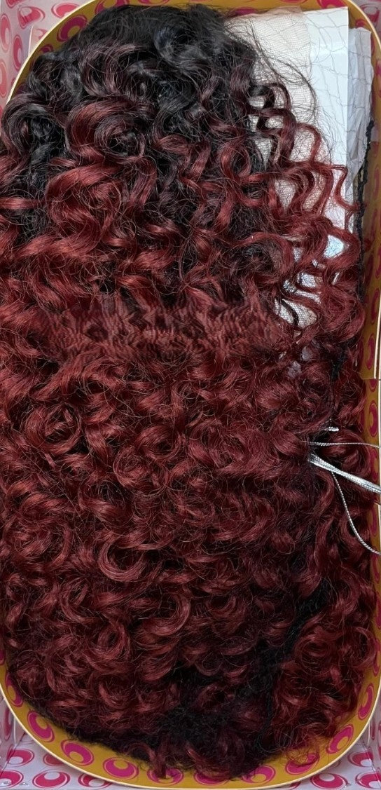 Obsession Synthetic Lace Front Free Part 100% Hand Tied Curly Hair Wig - AVANI