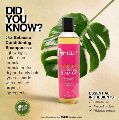 Mielle Organics Babassu Conditioning Shampoo 240ml