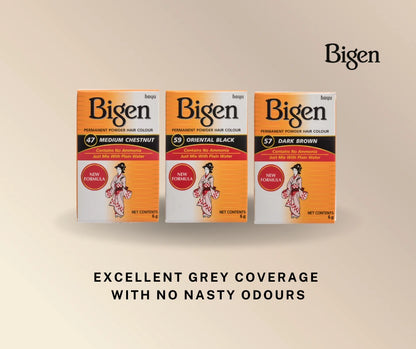 Bigen Permanent Powder Hair Dye